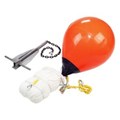 C-ANCHOR2